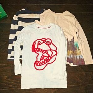 4t Long Sleeve Shirt Bundle